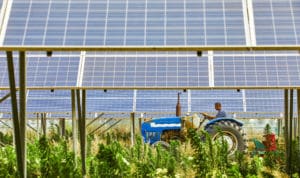 Solar utilization on farmland